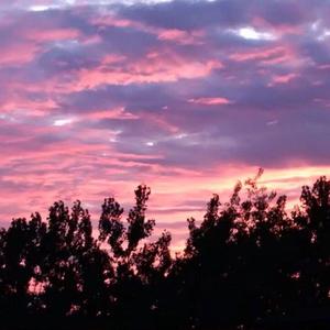 狠狠操欧美成人免费视频
