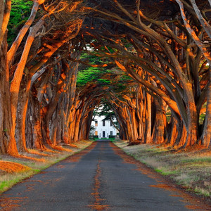 狠狠操欧美成人免费视频
